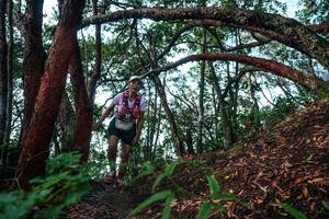 BIB: 
                            <button type="button" onclick="openModal(26345352)" class="btn btn-primary btn-sm float-right btn-popup" data-toggle="modal" data-target=".modal-high-quality">
                        <i class="fas fa-shopping-cart"></i> Add to Cart
                    </button>
                                            <button type="button" onclick="isThisMe(26345352, true)" class="btn btn-success btn-sm float-right btn-popup btn-isme hidden" data-toggle="tooltip" data-placement="bottom" title="นี่คือรูปของคุณใช่ไหม คลิกที่นี่เพื่อเอาเข้าอัลบั้ม">
                        <i class="fas fa-plus"></i> Add to album
                    </button>
                    <button type="button" onclick="isThisMe(26345352, false)" class="btn btn-warning btn-sm float-right btn-popup btn-isnotme hidden">
                        <i class="fas fa-ban"></i> Remove from album
                    </button>